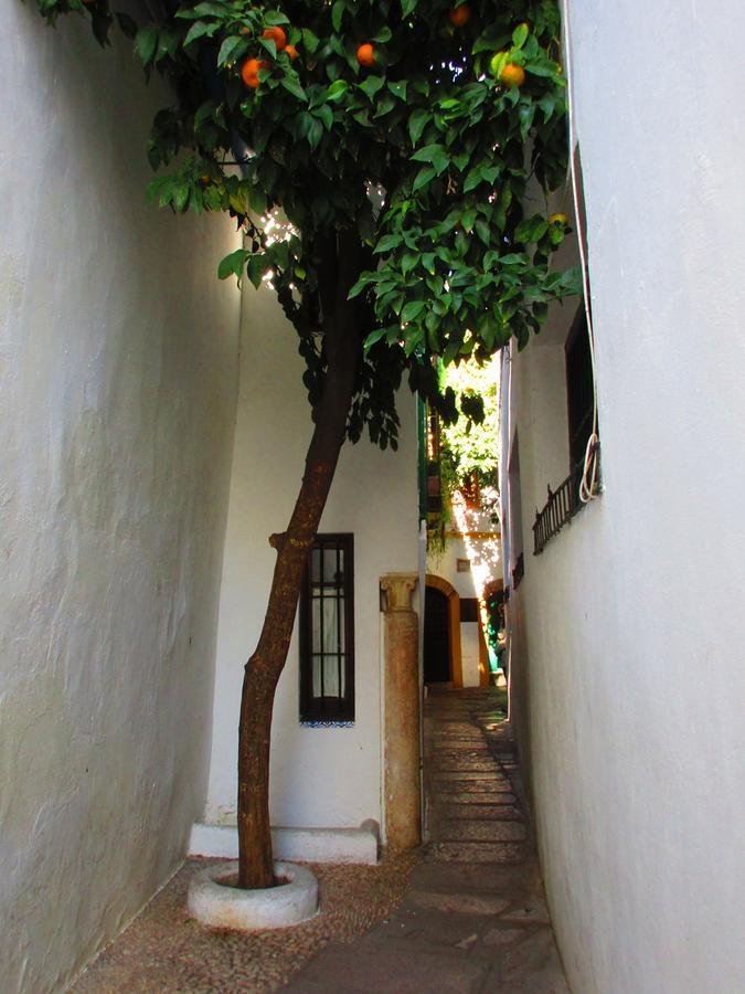 Córdoba con Encanto Lubi Exterior foto